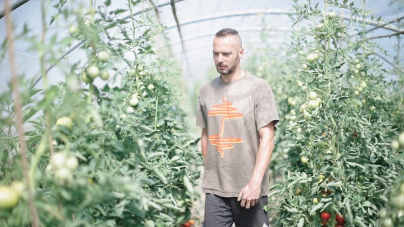 The basket of vegetables: healthy, sustainable and creates a social relationship