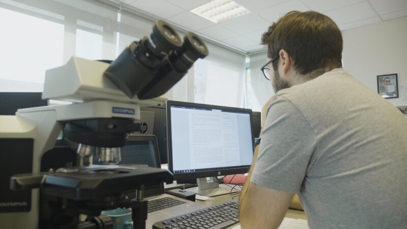 The daily routine of OncoDNA, company at the cutting edge of medical analysis