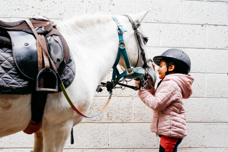Enfant qui découvre l'équitation
