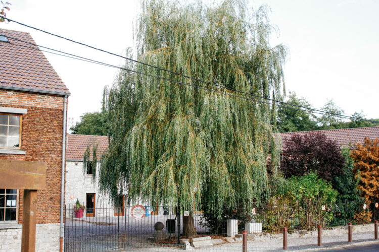 Ferme rénové pour les enfants
