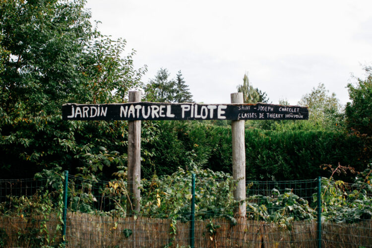 Potager cultivé par les enfants