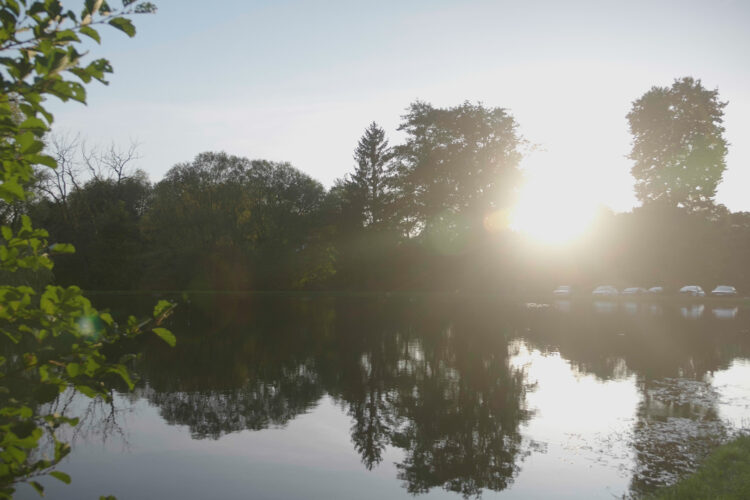 Soleil couchant sur l'étang