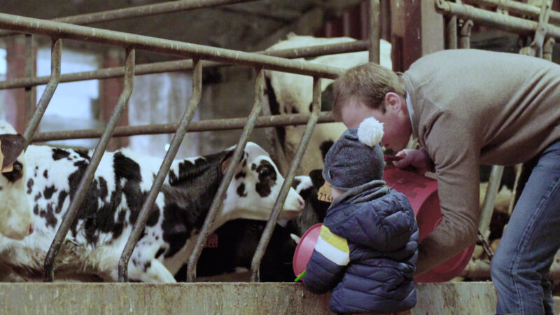 Daarom koopt u kaas best bij een lokale producent