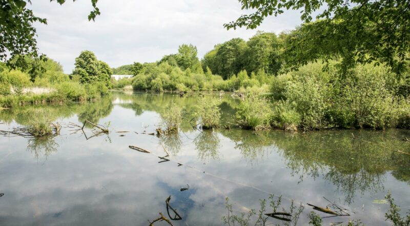 The local photographers beautifying our landscapes
