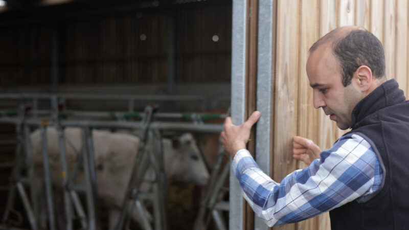 The goings-on down at the Tilleul farm (Seloignes)