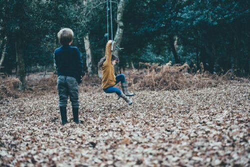 Jouons dans les bois
