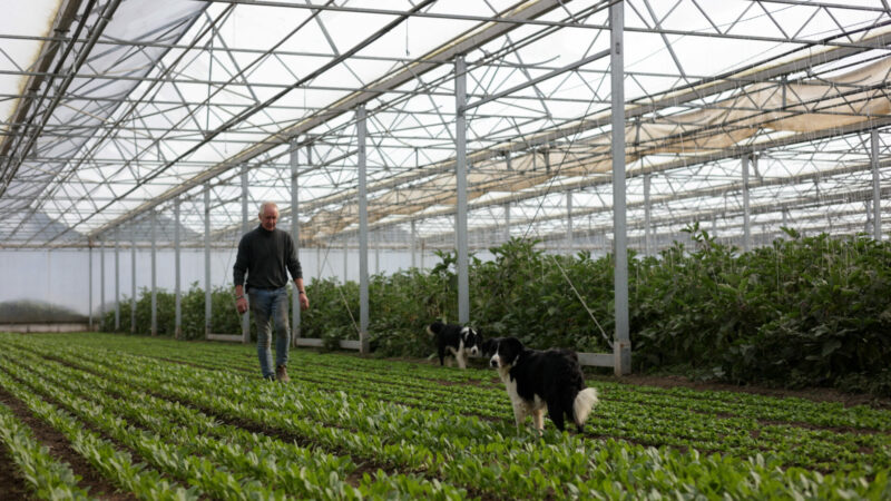 La Ferme de la Vallée – veel meer dan verse kwaliteitsproducten