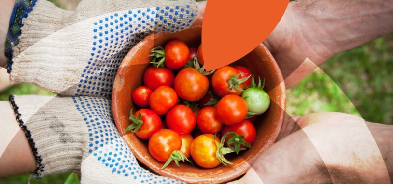 Quels outils pour sensibiliser les publics et former aux métiers liés à l’alimentation ?