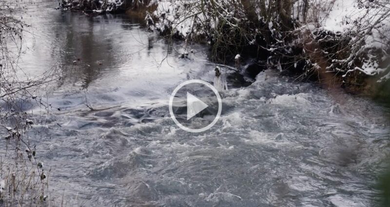 Le Chemin de l’Eau d’Heure