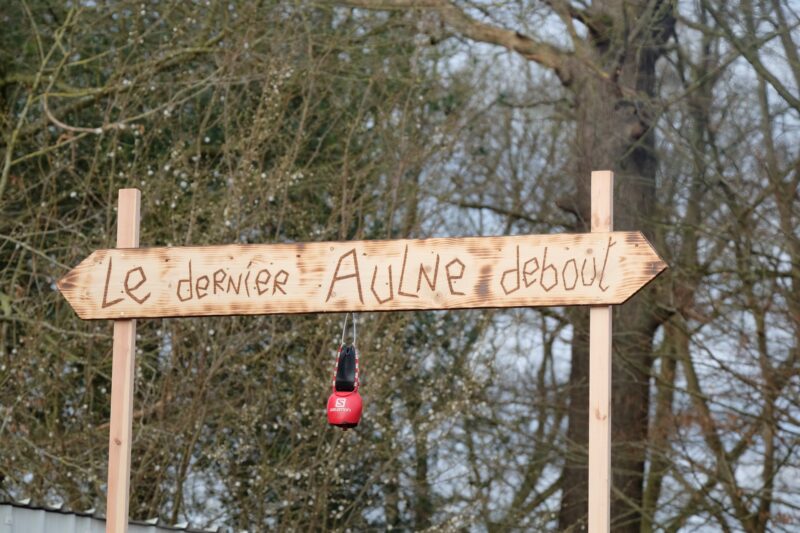 Le Dernier Aulne Debout