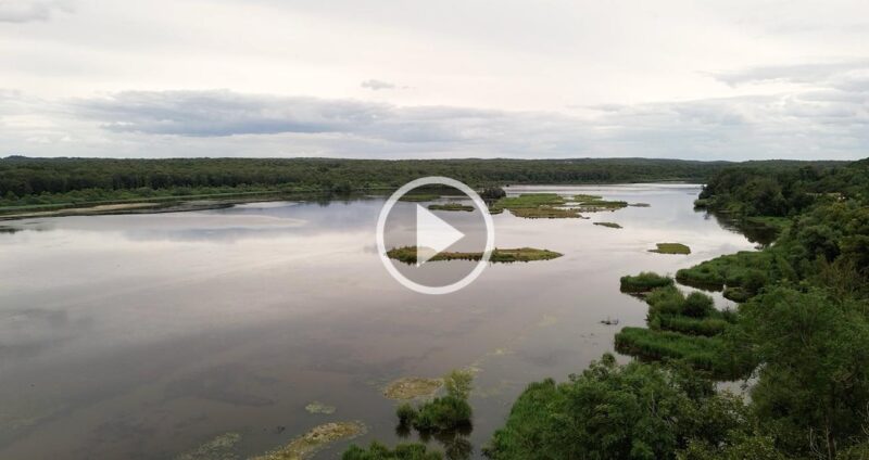 À la découverte du Parc National de l’Entre-Sambre-et-Meuse