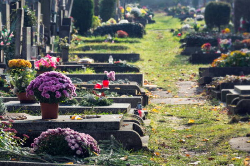 ECOCIM à Chimay : la première recyclerie végétale qui redonne vie à vos chrysanthèmes