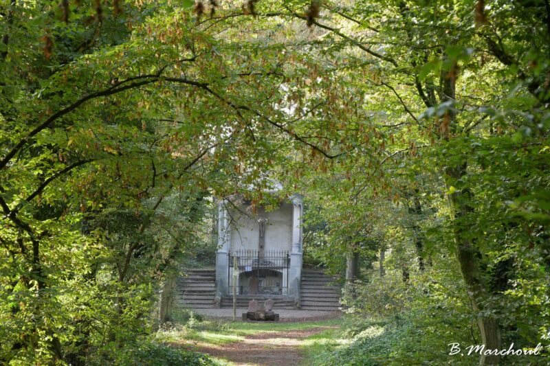 Le Bois du Grand Bon Dieu, un patrimoine à préserver et valoriser